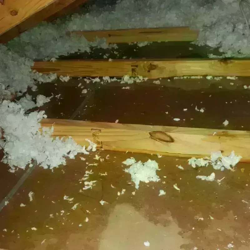 Attic Water Damage in South Saint Paul, MN