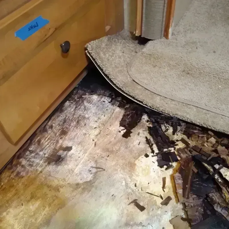 Wood Floor Water Damage in South Saint Paul, MN